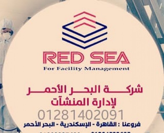 شركة البحر الأحمر