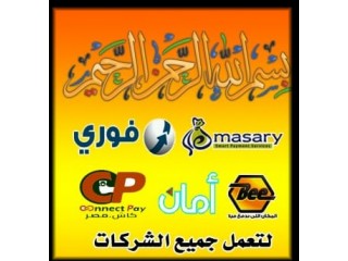 سوفت وير مكن موبي وير