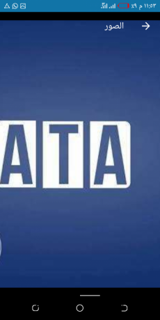 ldyna-jmyaa-lydat-alshashat-osyanh-alshashat-big-4