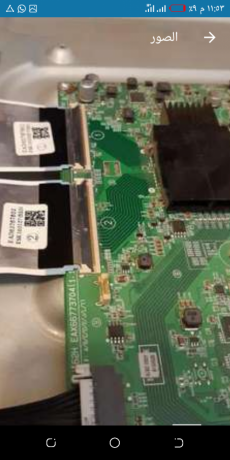 ldyna-jmyaa-lydat-alshashat-osyanh-alshashat-big-3