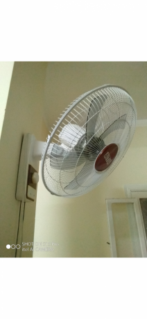 mrohh-haet-bha-5-ryshh-shdydh-alhoary-big-1