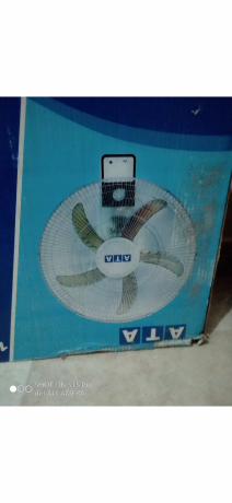 mrohh-haet-bha-5-ryshh-shdydh-alhoary-big-0