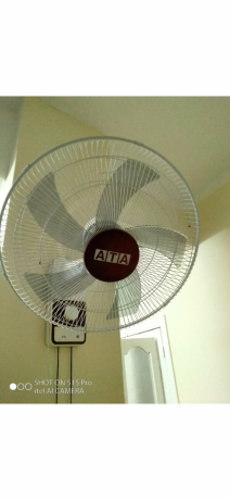 mrohh-haet-bha-5-ryshh-shdydh-alhoary-big-2