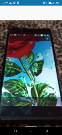 aaaly-omsh-ghaly-64-ya-khaly-big-1