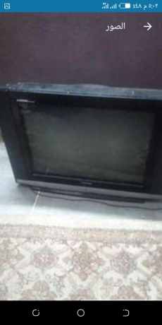 tlfzyon-mstaaml-big-0