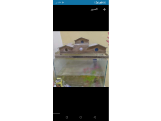 اربع احواض مقاسات مختلفه