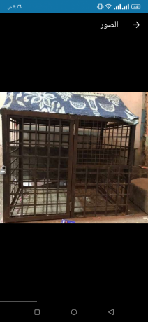 sjanh-hdyd-lsh-jdydh-bsaar-hlo-big-0