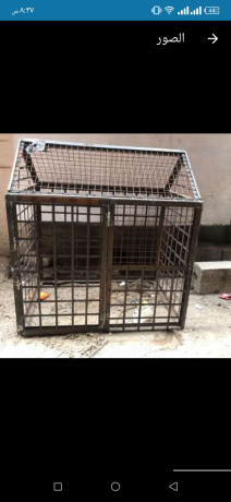 sjanh-hdyd-lsh-jdydh-bsaar-hlo-big-1