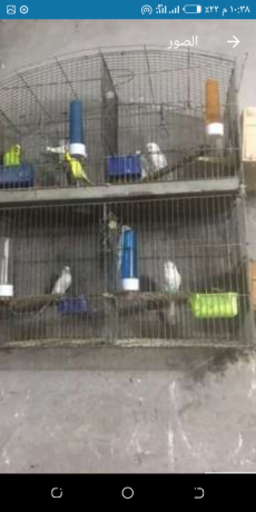 tsfyh-aasafyr-shghalh-big-1