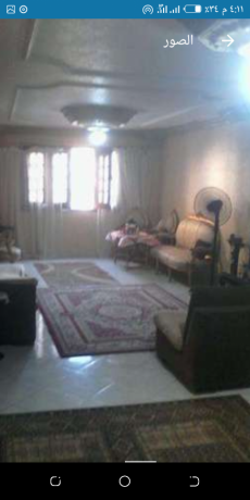 shkh-llbyaa-fy-sharaa-alaashryn-big-0