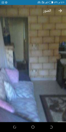 shkh-llbyaa-fy-sharaa-alaashryn-big-1