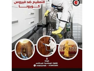 تعقيم و تجميل