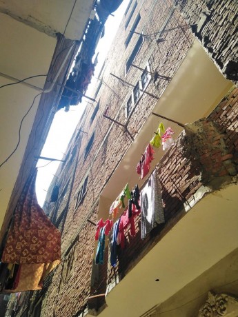 moessh-alzkah-aazbh-alnkhl-alshrkyh-big-0