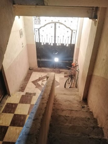 moessh-alzkah-aazbh-alnkhl-alshrkyh-big-3