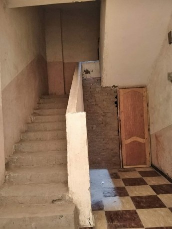 sharaa-mtfraa-mn-mossh-alzkah-aazbh-alnkhl-alshrkyh-big-1