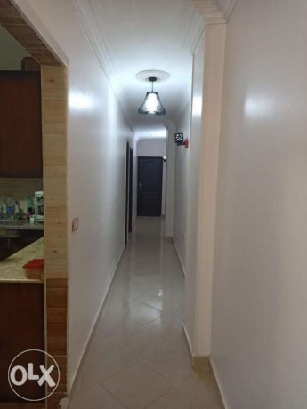 aamar-albtrol-sh-aloady-aljdyd-mtfzaa-mn-sh-hsny-mbark-amam-sntral-nasy-syd-mkaoy-llsyarat-zhra-mdynh-big-1