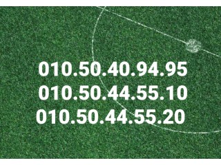 اى فرع فى الجمهورية