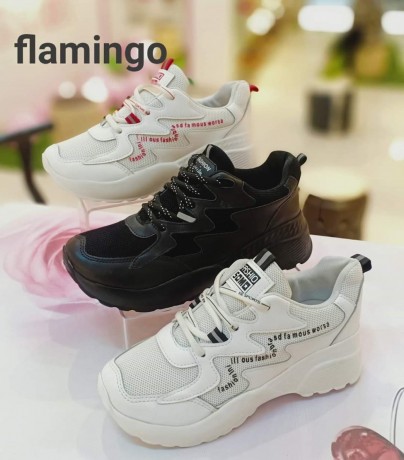 mhl-flamynjo-balzkazyk-alshnt-oalahthy-hrym-oatfal-big-4