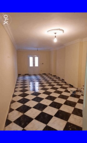 almryoty-fysl-sharaa-dktor-lashyn-alreysy-big-0