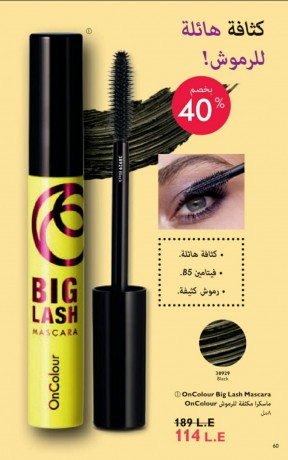 mntjat-aoryflam-alaslyh-bkhsomat-raeaah-tsl-al-30-big-4