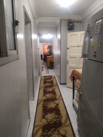 alnzhh-aljdydh-2-big-2