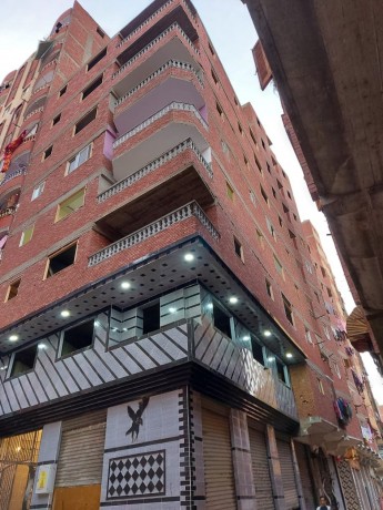 alkhsos-sh-alamyr-big-0