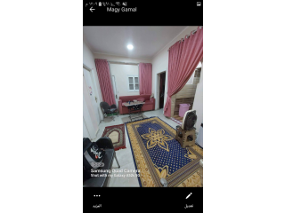 قليوب الجمعية الزراعية