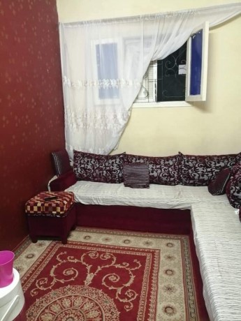 almaatmdy-nzl-daery-alkhr-ba-aol-sharaa-janb-mn-alaamom-bjoar-alohdh-alshy-balmaatmdy-big-3