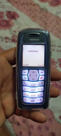 nokia-3100-big-2