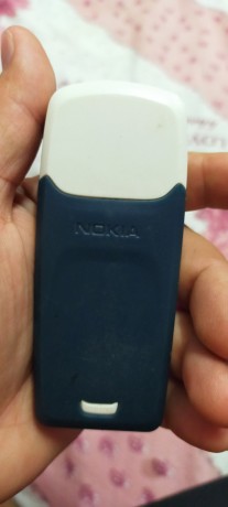 nokia-3100-big-1