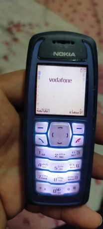 nokia-3100-big-0