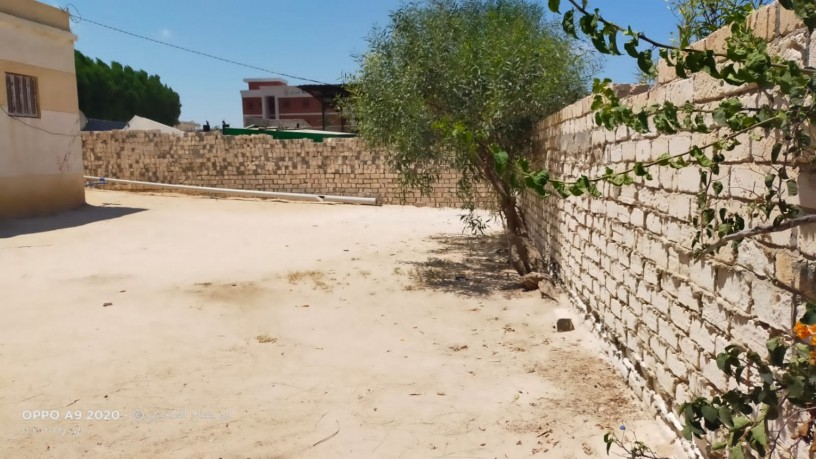 alsahl-alshmaly-k45-amam-kry-rmsys-mnz-big-4