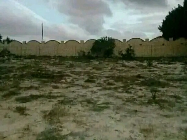 alsahl-alshmal-k45-kbl-aol-nmrh-aal-alreysy-big-1