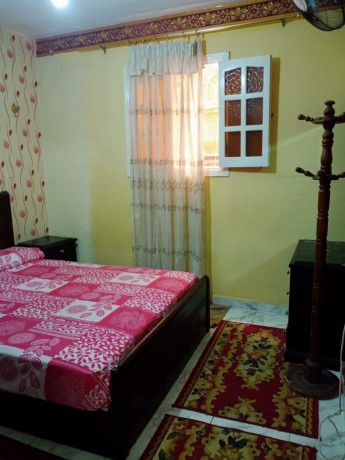 shk-65m-klyobatra-sh-aldyr-krybh-mn-albhr-big-0