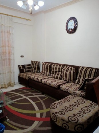 shk-65m-klyobatra-sh-aldyr-krybh-mn-albhr-big-3