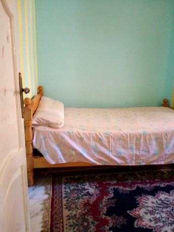 shk-65m-klyobatra-sh-aldyr-krybh-mn-albhr-big-1