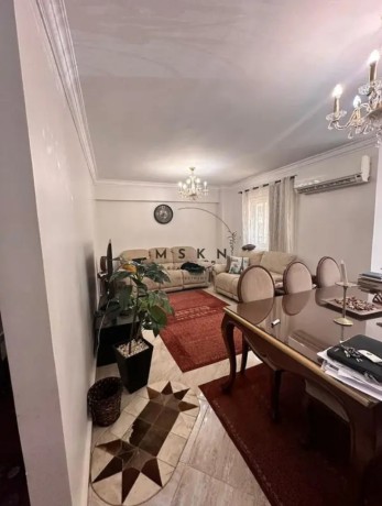 shk-llbyaa-fy-dar-msr-alkrnfl-115m-alkahr-aljdyd-big-0