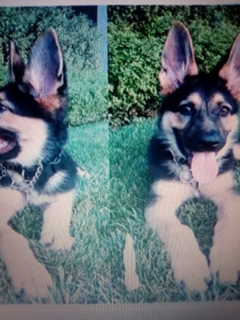 klb-jyrmn-llbyaa-big-0